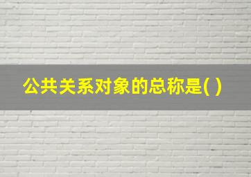 公共关系对象的总称是( )